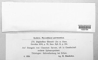 Image Associated With the Occurence